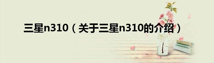 三星n310（关于三星n310的介绍）