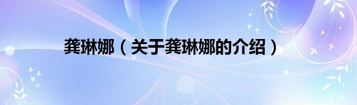 龚琳娜（关于龚琳娜的介绍）