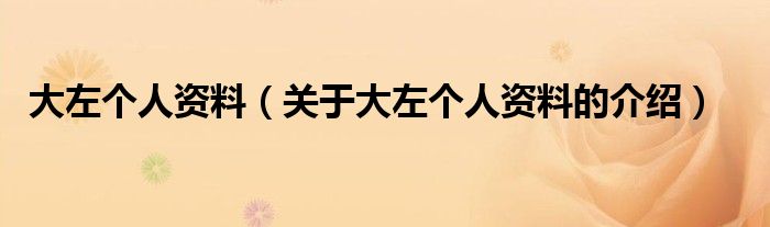大左个人资料（关于大左个人资料的介绍）