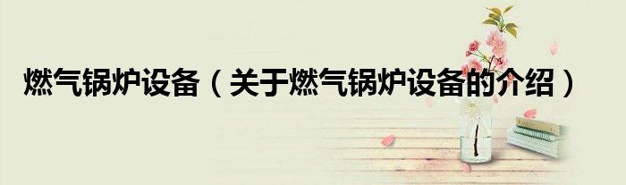 燃气锅炉设备（关于燃气锅炉设备的介绍）