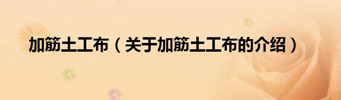 加筋土工布（关于加筋土工布的介绍）