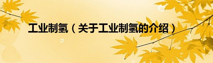 工业制氢（关于工业制氢的介绍）
