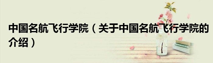 中国名航飞行学院（关于中国名航飞行学院的介绍）