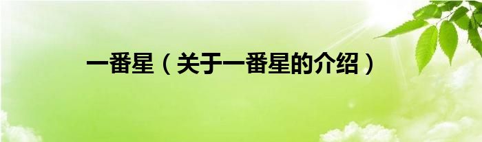 一番星（关于一番星的介绍）