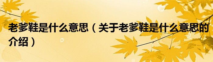 老爹鞋是什么意思（关于老爹鞋是什么意思的介绍）