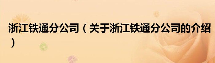 浙江铁通分公司（关于浙江铁通分公司的介绍）