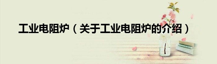 工业电阻炉（关于工业电阻炉的介绍）