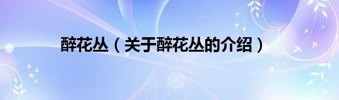 醉花丛（关于醉花丛的介绍）