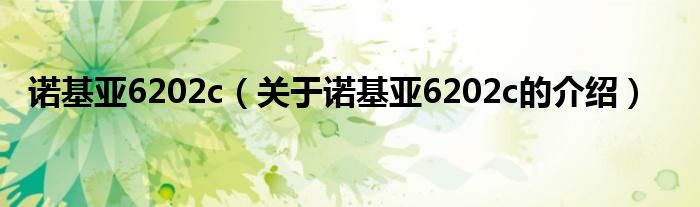 诺基亚6202c（关于诺基亚6202c的介绍）