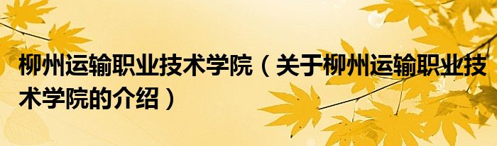 柳州运输职业技术学院（关于柳州运输职业技术学院的介绍）
