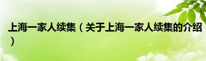 上海一家人续集（关于上海一家人续集的介绍）