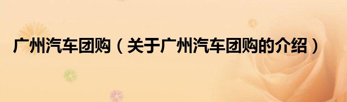 广州汽车团购（关于广州汽车团购的介绍）