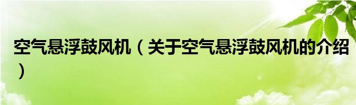 空气悬浮鼓风机（关于空气悬浮鼓风机的介绍）
