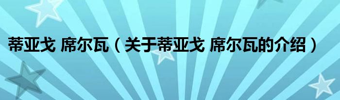 蒂亚戈 席尔瓦（关于蒂亚戈 席尔瓦的介绍）