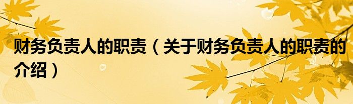 财务负责人的职责（关于财务负责人的职责的介绍）
