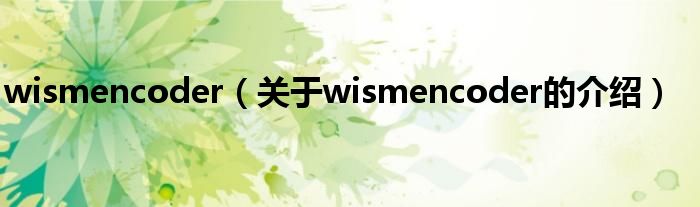 wismencoder（关于wismencoder的介绍）