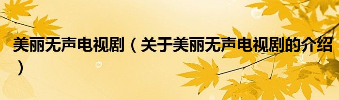 美丽无声电视剧（关于美丽无声电视剧的介绍）