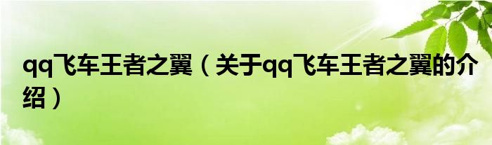 qq飞车王者之翼（关于qq飞车王者之翼的介绍）