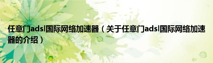 任意门adsl国际网络加速器（关于任意门adsl国际网络加速器的介绍）