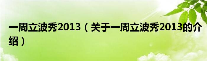 一周立波秀2013（关于一周立波秀2013的介绍）