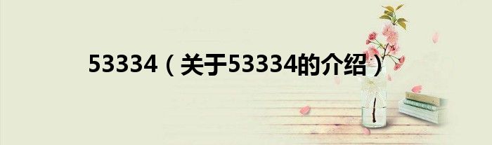 53334（关于53334的介绍）