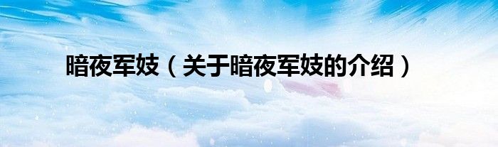暗夜军妓（关于暗夜军妓的介绍）