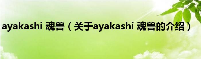 ayakashi 魂兽（关于ayakashi 魂兽的介绍）