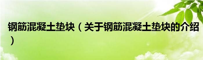 钢筋混凝土垫块（关于钢筋混凝土垫块的介绍）
