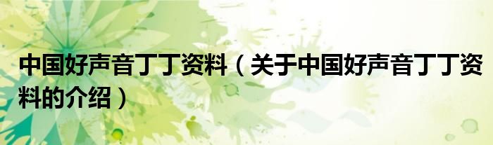 中国好声音丁丁资料（关于中国好声音丁丁资料的介绍）