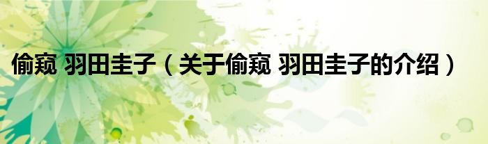 偷窥 羽田圭子（关于偷窥 羽田圭子的介绍）
