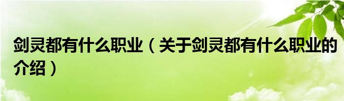 剑灵都有什么职业（关于剑灵都有什么职业的介绍）