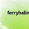 ferryhalim（关于ferryhalim的介绍）