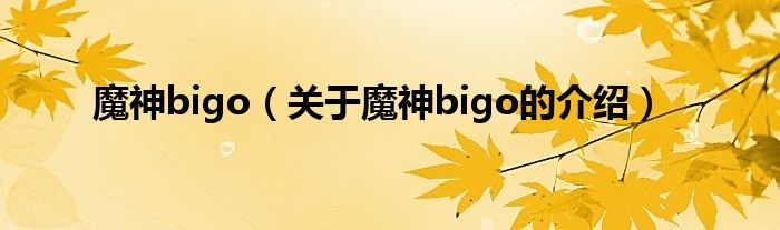 魔神bigo（关于魔神bigo的介绍）