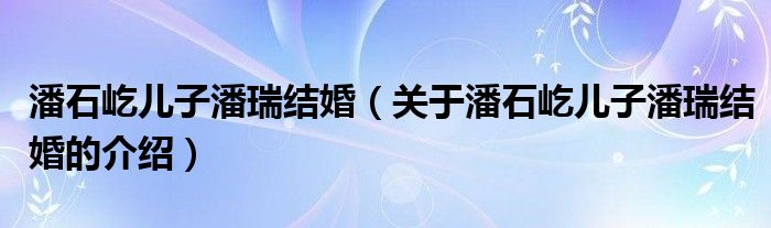 潘石屹儿子潘瑞结婚（关于潘石屹儿子潘瑞结婚的介绍）
