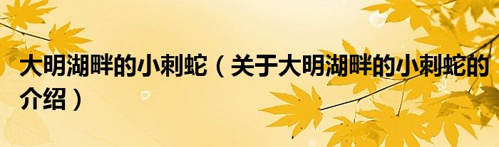 大明湖畔的小刺蛇（关于大明湖畔的小刺蛇的介绍）