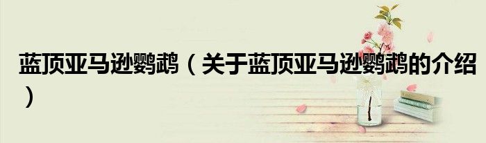 蓝顶亚马逊鹦鹉（关于蓝顶亚马逊鹦鹉的介绍）