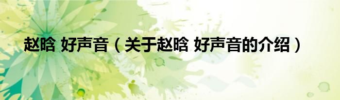 赵晗 好声音（关于赵晗 好声音的介绍）