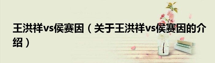 王洪祥vs侯赛因（关于王洪祥vs侯赛因的介绍）