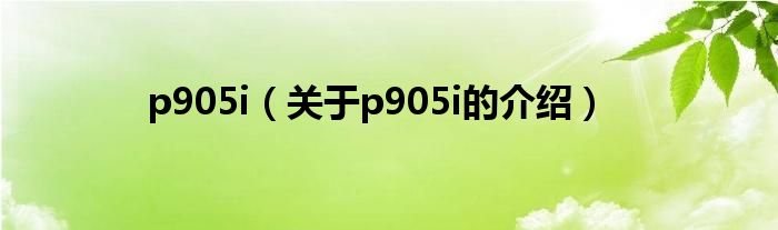 p905i（关于p905i的介绍）