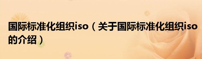 国际标准化组织iso（关于国际标准化组织iso的介绍）