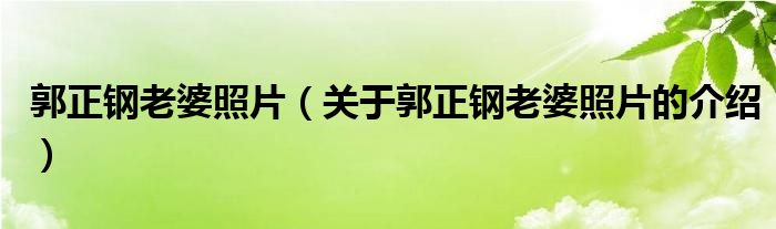 郭正钢老婆照片（关于郭正钢老婆照片的介绍）
