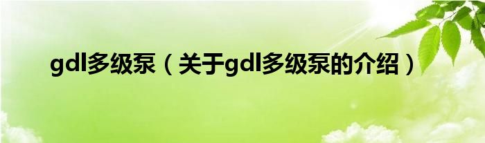 gdl多级泵（关于gdl多级泵的介绍）