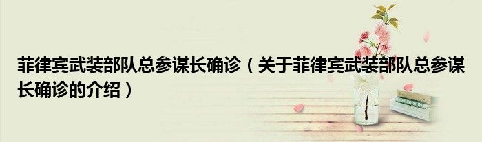 菲律宾武装部队总参谋长确诊（关于菲律宾武装部队总参谋长确诊的介绍）