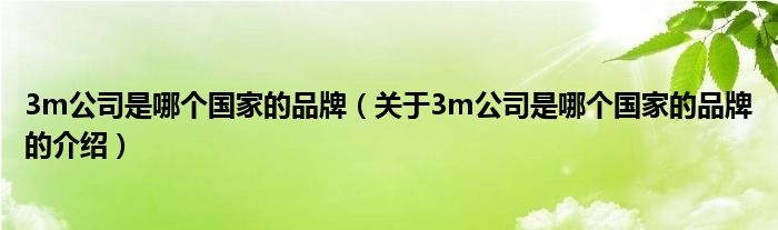 3m公司是哪个国家的品牌（关于3m公司是哪个国家的品牌的介绍）