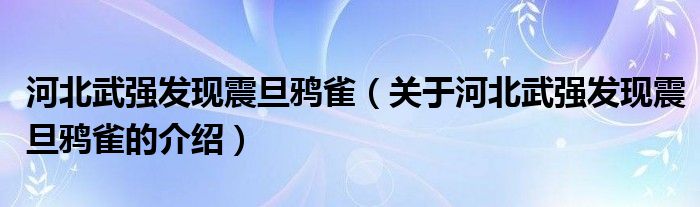 河北武强发现震旦鸦雀（关于河北武强发现震旦鸦雀的介绍）