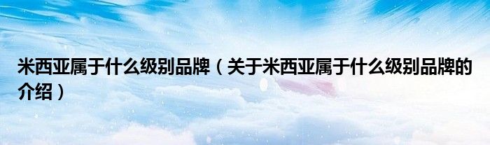 米西亚属于什么级别品牌（关于米西亚属于什么级别品牌的介绍）