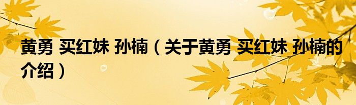 黄勇 买红妹 孙楠（关于黄勇 买红妹 孙楠的介绍）