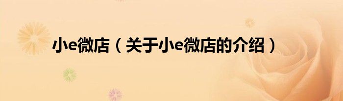 小e微店（关于小e微店的介绍）