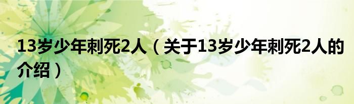 13岁少年刺死2人（关于13岁少年刺死2人的介绍）