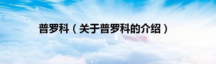 普罗科（关于普罗科的介绍）